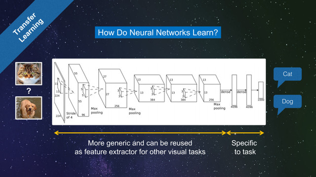 How Do Neural Networks Learn?
?
More generic and can be reused
as feature extractor for other visual tasks
Specific
to task
Cat
Dog
0
