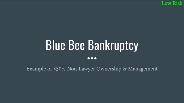 Blue Bee Bankruptcy
Example of <50% Non-Lawyer Ownership & Management
Low Risk
