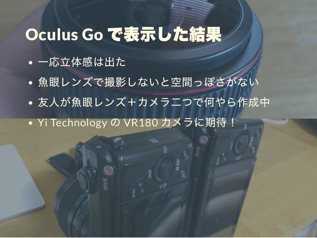 Oculus Go
Yi Technology VR180
