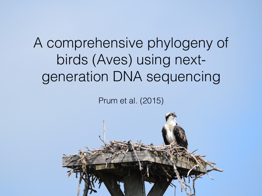 Phylogeny Of Aves - Speaker Deck