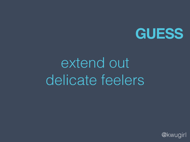 @kwugirl
extend out
delicate feelers
GUESS
