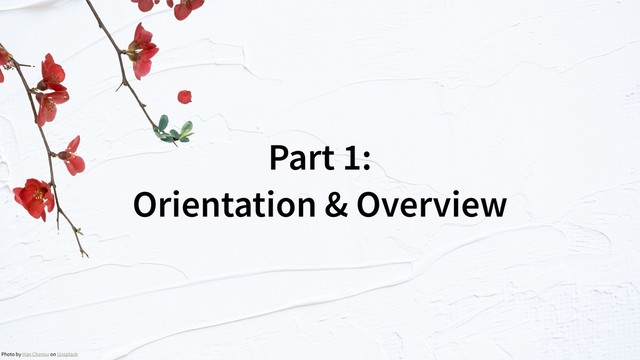 Part 1:  
Orientation & Overview
Photo by Han Chenxu on Unsplash
