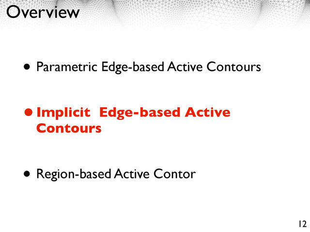 Overview
• Parametric Edge-based Active Contours
•Implicit Edge-based Active
Contours
• Region-based Active Contor
12
