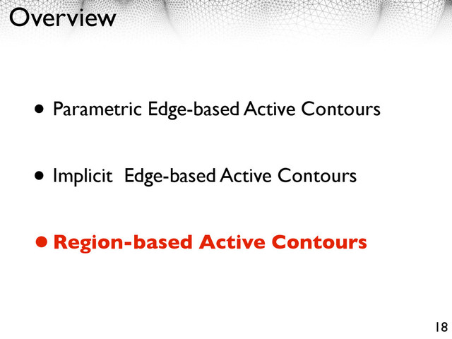 Overview
• Parametric Edge-based Active Contours
• Implicit Edge-based Active Contours
•Region-based Active Contours
18
