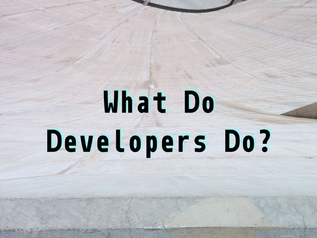 What Do
Developers Do?
