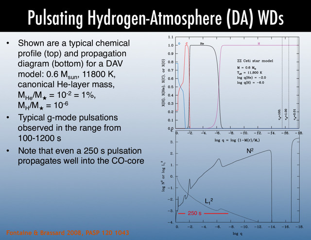 Pulsating Hydrogen-Atmosphere (DA) WDs
•  Shown are a typical chemical
proﬁle (top) and propagation
diagram (bottom) for a DAV
model: 0.6 Msun
, 11800 K,
canonical He-layer mass, 
MHe
/M★
= 10-2 = 1%, 
MH
/M★
= 10-6!
•  Typical g-mode pulsations
observed in the range from
100-1200 s!
•  Note that even a 250 s pulsation
propagates well into the CO-core!
Fontaine & Brassard 2008, PASP 120 1043
the g-modes observed in pulsating white dwarfs are relatively
short ought to be considered a good thing. This is because a
large number of pulsation cycles can be covered in a single night
of observations and, as a consequence, it is easier to assess the
multiperiodic character of a given light curve. On the downside,
as indicated above, white dwarfs remain intrinsically faint and it
is often difficult, observationally speaking, to reach comfortable
S/Ns.
Along with its compact nature, the chemical layering of a
pulsating white dwarf is another mechanical property that bears
a strong imprint on its period spectrum. Even though a typical
white dwarf consists of a C/O core containing more than 99% of
its mass, the thin He mantle that surrounds the core (containing
at most <1% of the total mass), and the even thinner H layer that
envelops a DA star (containing at most <0:01% of the total
mass) play a major role in establishing the period distribution.
This is because g-modes in white dwarfs have large amplitudes
and propagate easily in these outermost layers. The modes are
therefore quite sensitive to the details of the chemical stratifica-
tion above the core. In fact, the layered structure produces a
highly nonuniform period spectrum for a family of g-modes be-
have very low amplitudes there. To a large extent, and this is
particularly true for the most degenerate configuration repre-
sented by ZZ Ceti stars, the degenerate interior of a white dwarf
is refractory to asteroseismological probing. This poses a
FIG. 6.—Chemical layering in a representative model of a ZZ Ceti pulsator.
The location of the atmospheric layers is indicated through the values of the
Rosseland optical depth.
3 This is strictly valid only for purely radiative and chemically homogeneous
models in the asymptotic regime of high radial order as demonstrated by Tassoul
(1980).
2008 PASP, 120:1043–1096
N2
L1
2
250 s
