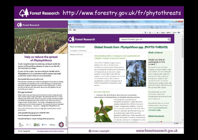 04/05/2016
12
http://www.forestry.gov.uk/fr/phytothreats
