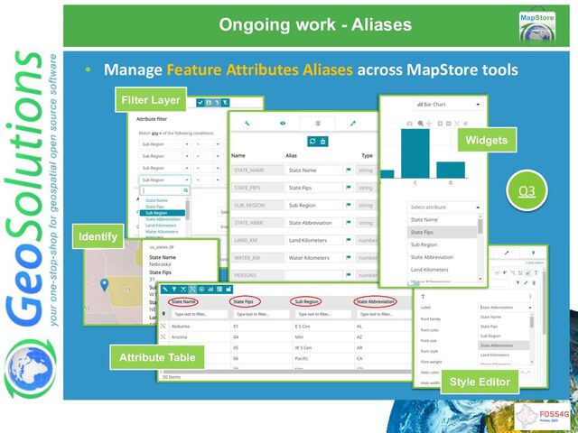 Ongoing work - Aliases
• Manage Feature Attributes Aliases across MapStore tools
Attribute Table
Identify
Filter Layer
Widgets
Style Editor
Q3
