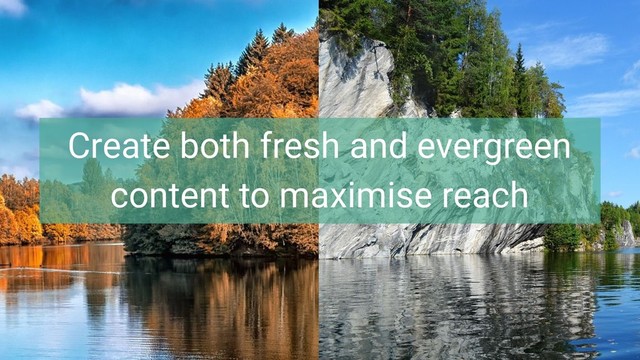 Create both fresh and evergreen
content to maximise reach
