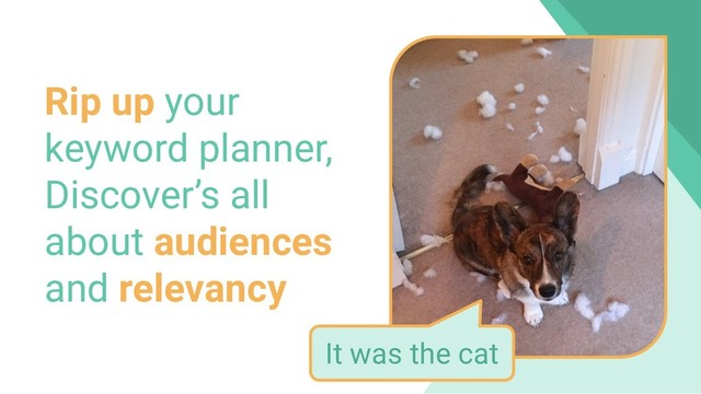 Rip up your
keyword planner,
Discover’s all
about audiences
and relevancy
It was the cat
