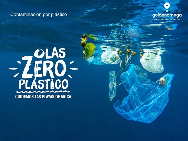 www.goldenomega.cl
Contaminación por plástico

