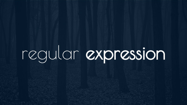 regular expression

