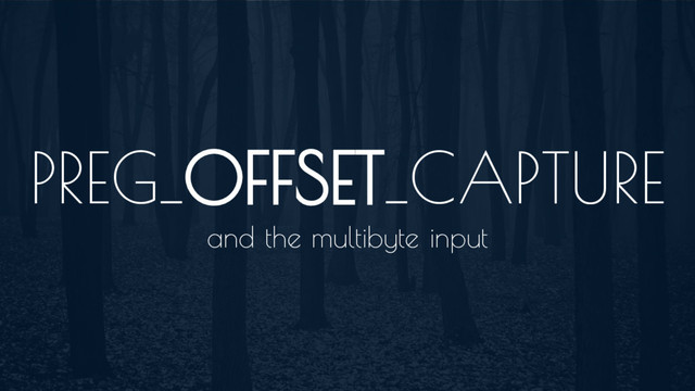 PREG_OFFSET_CAPTURE
and the multibyte input
