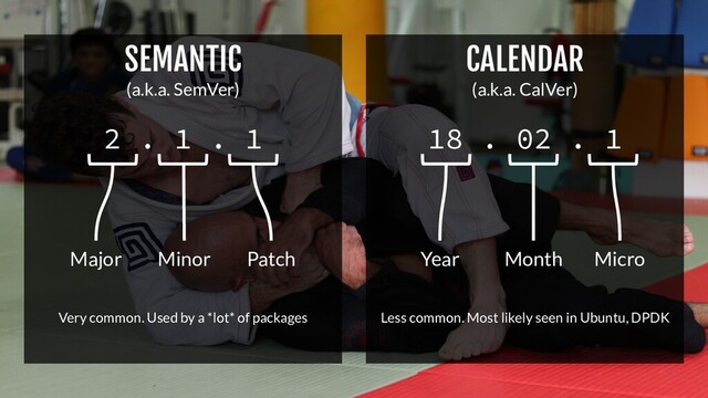 SEMANTIC
(a.k.a. SemVer)
CALENDAR
(a.k.a. CalVer)
18 . 02 . 1
Major Minor Patch
2 . 1 . 1
Month Micro
Very common. Used by a *lot* of packages Less common. Most likely seen in Ubuntu, DPDK
Year
