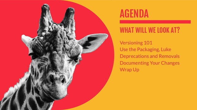 AGENDA
WHAT WILL WE LOOK AT?
Versioning 101
Use the Packaging, Luke
Deprecations and Removals
Documenting Your Changes
Wrap Up
