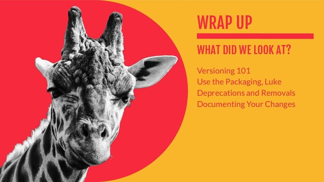 WRAP UP
WHAT DID WE LOOK AT?
Versioning 101
Use the Packaging, Luke
Deprecations and Removals
Documenting Your Changes
