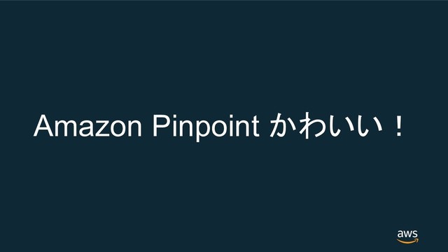 Amazon Pinpoint 
