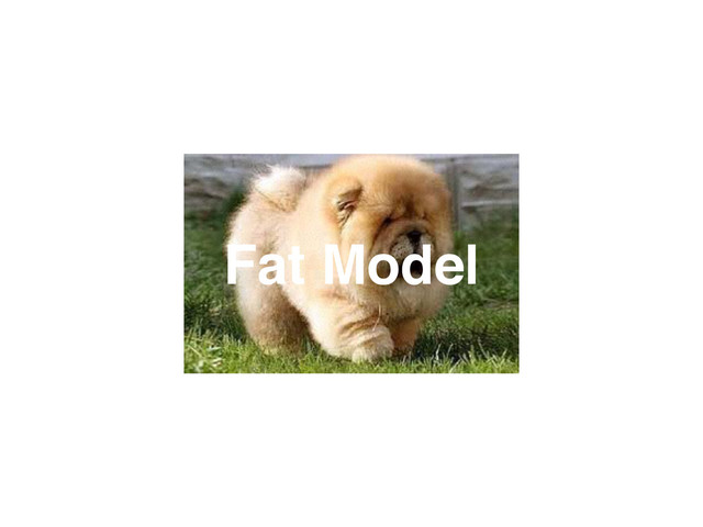 Fat Model
