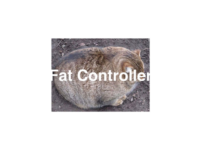 Fat Controller

