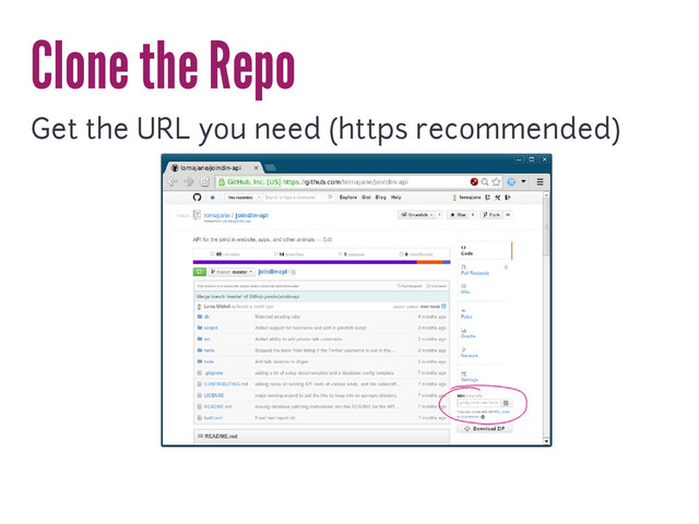 Clone the Repo
Get the URL you need (https recommended)

