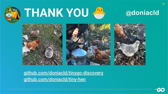 github.com/doniacld/tinygo-discovery
github.com/doniacld/tiny-hen
@doniacld
THANK YOU 🐣
