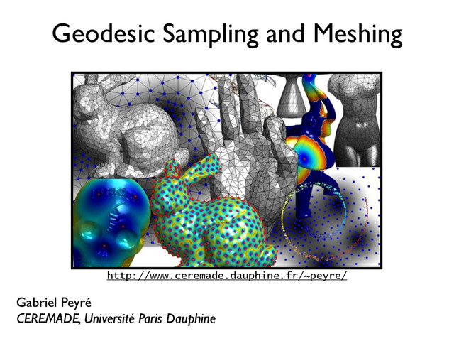 Geodesic Sampling and Meshing
Gabriel Peyré
CEREMADE, Université Paris Dauphine
http://www.ceremade.dauphine.fr/~peyre/
