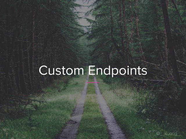 @__xuorig__
Custom Endpoints
