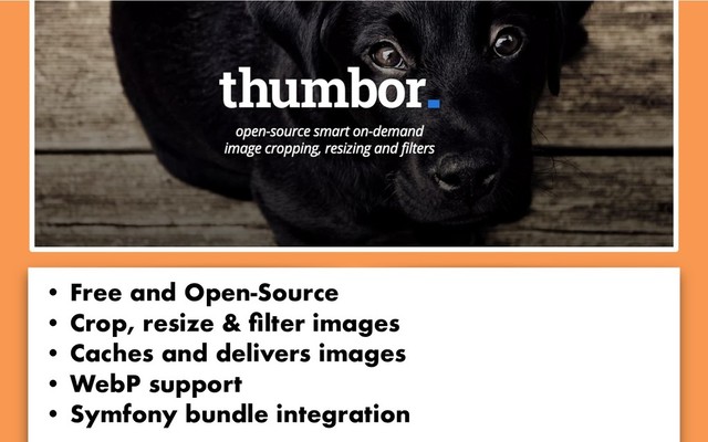 • Free and Open-Source
• Crop, resize & ﬁlter images
• Caches and delivers images
• WebP support
• Symfony bundle integration

