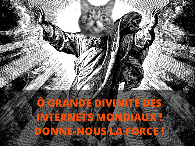 Ô GRANDE DIVINITÉ DES
INTERNETS MONDIAUX !
DONNE-NOUS LA FORCE !
