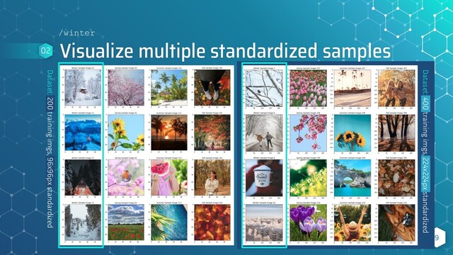 Dataset: 200 training imgs, 96x96px standardized
Visualize multiple standardized samples
9
02
/winter
Dataset: 400 training imgs, 224x224px standardized
