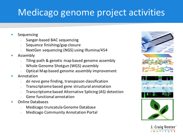 Medicago genome project activities
• Sequencing
¡
Sanger-based BAC sequencing
¡
Sequence finishing/gap closure
¡
NextGen sequencing (NGS) using Illumina/454
• Assembly
¡
Tiling-path & genetic map based genome assembly
¡
Whole Genome Shotgun (WGS) assembly
¡
Optical Map based genome assembly improvement
• Annotation
¡
de novo gene finding, transposon classification
¡
Transcriptomebased gene structural annotation
¡
Transcriptomebased Alternative Splicing (AS) detection
¡
Gene functional annotation
• Online Databases
¡
Medicago truncatula Genome Database
¡
Medicago Community Annotation Portal
