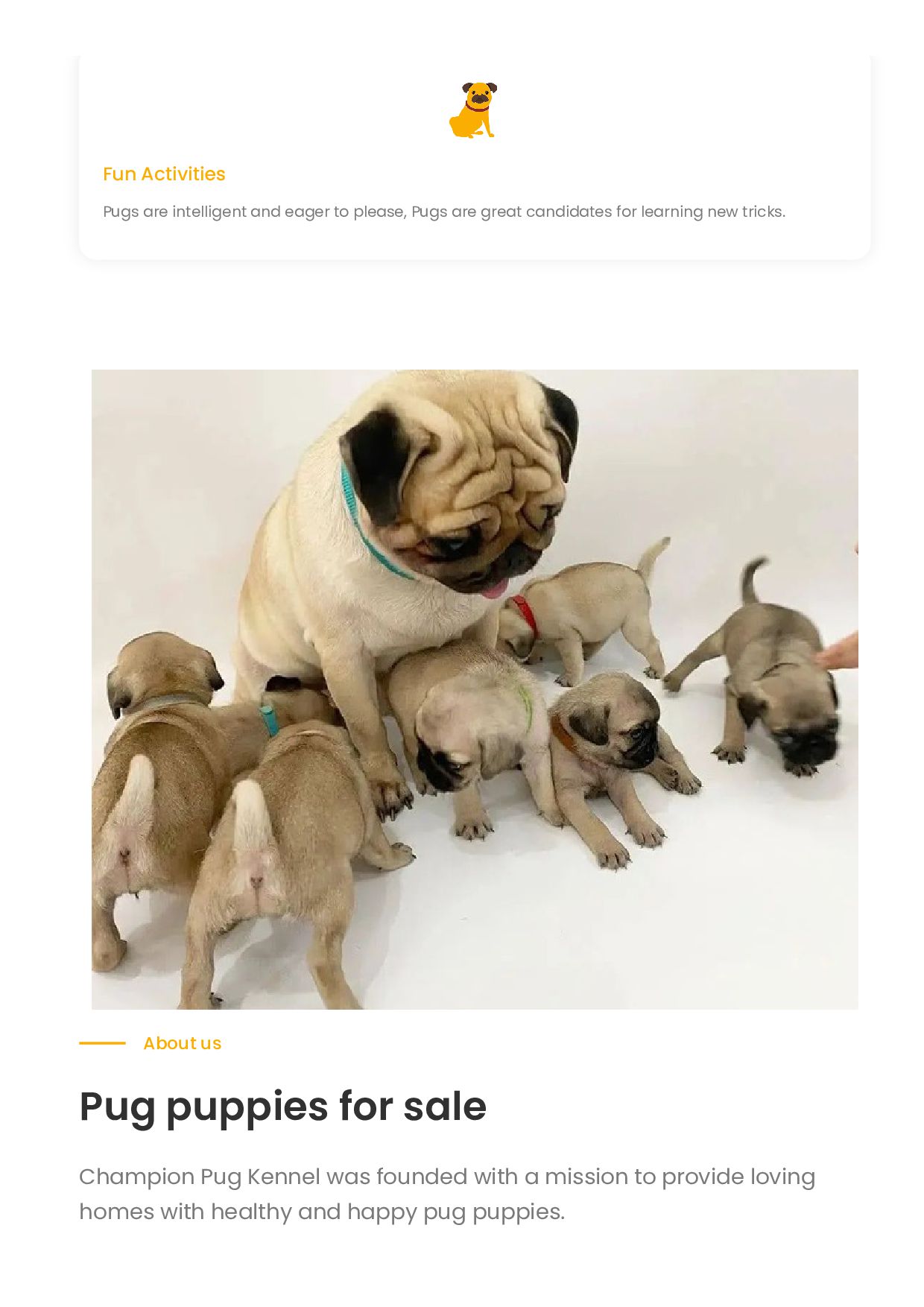 adorable pug puppies for sale in colorado Speaker Deck