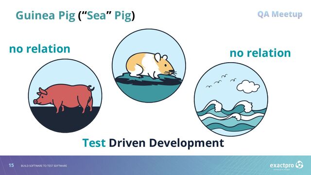 15 BUILD SOFTWARE TO TEST SOFTWARE
Test Driven Development
Guinea Pig (“Sea” Pig)
no relation no relation
