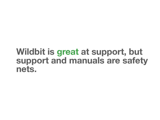 Wildbit is great at support, but
support and manuals are safety
nets.
