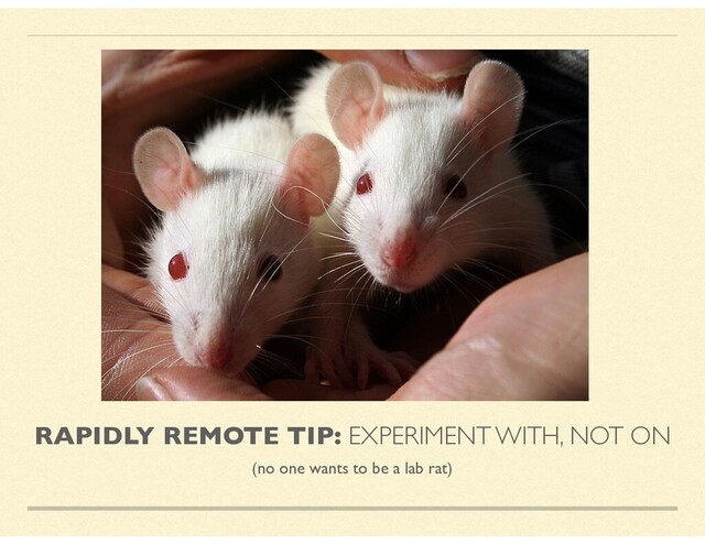 RAPIDLY REMOTE TIP: EXPERIMENT WITH, NOT ON
(no one wants to be a lab rat)
