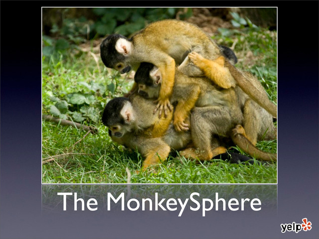 The MonkeySphere
