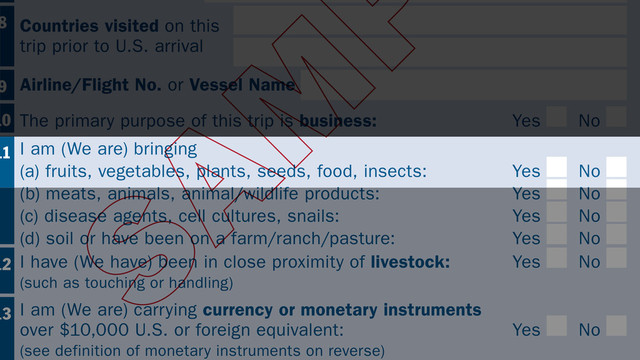 8 Countries visited on this
trip prior to U.S. arrival
10 The primary purpose of this trip is business: Yes No
11 I am (We are) bringing
(a) fruits, vegetables, plants, seeds, food, insects: Yes No
(b) meats, animals, animal/wildlife products: Yes No
(c) disease agents, cell cultures, snails: Yes No
(d) soil or have been on a farm/ranch/pasture: Yes No
12 I have (We have) been in close proximity of livestock: Yes No
(such as touching or handling)
13 I am (We are) carrying currency or monetary instruments
over $10,000 U.S. or foreign equivalent: Yes No
(see definition of monetary instruments on reverse)
9 Airline/Flight No. or Vessel Name
