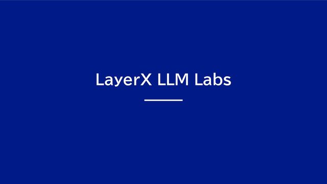 LayerX LLM Laｂｓ
