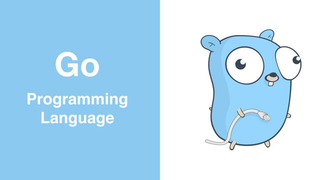 Go
Programming
Language
