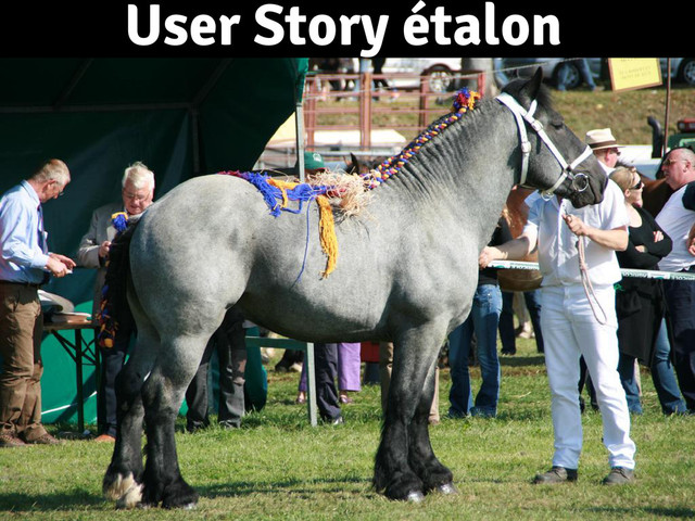 User Story étalon
