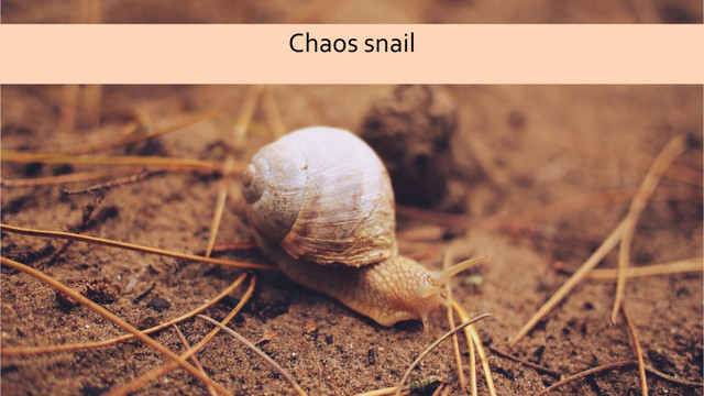 Chaos snail
