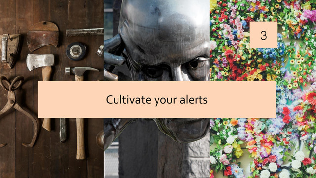 3
Cultivate your alerts
