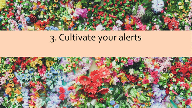 @sarahjwells
3. Cultivate your alerts
