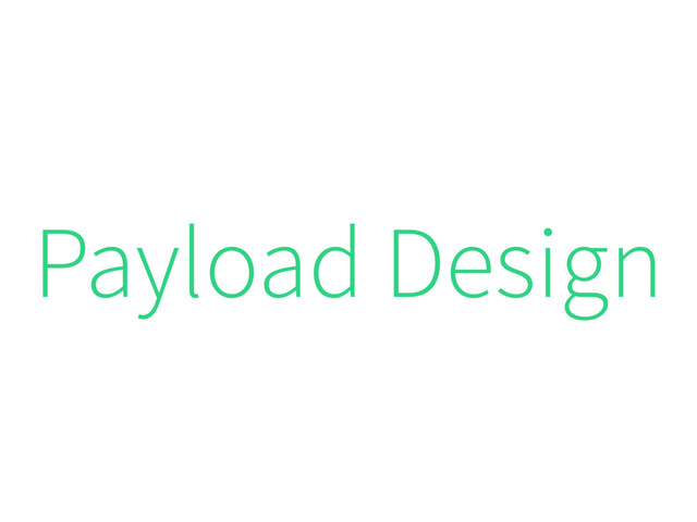 Payload Design

