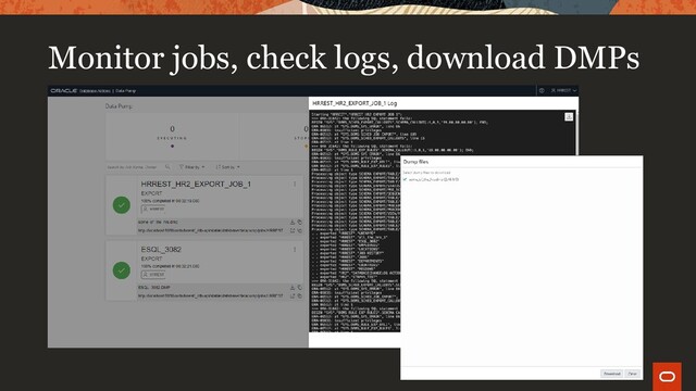 Monitor jobs, check logs, download DMPs
