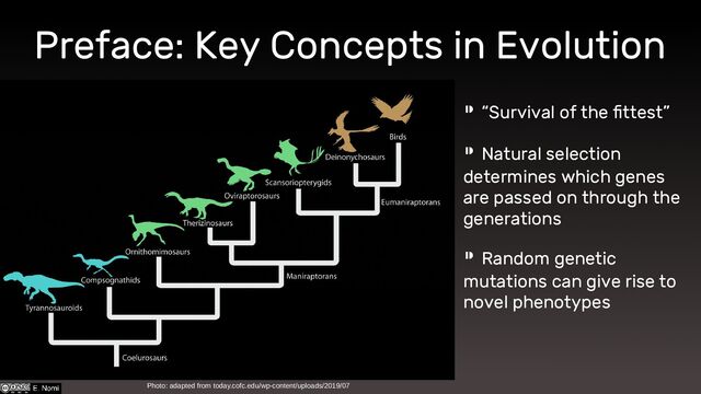 Photo: adapted from today.cofc.edu/wp-content/uploads/2019/07
Preface: Key Concepts in Evolution
⁍ “Survival of the fittest”
⁍ Natural selection
determines which genes
are passed on through the
generations
⁍ Random genetic
mutations can give rise to
novel phenotypes
