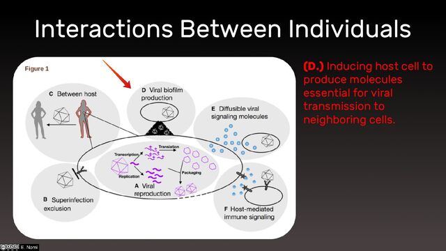 (D.) Inducing host cell to
produce molecules
essential for viral
transmission to
neighboring cells.
Interactions Between Individuals
