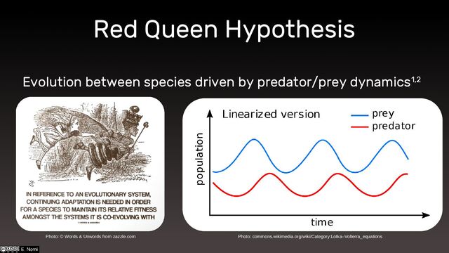 Red Queen Hypothesis
Photo: commons.wikimedia.org/wiki/Category:Lotka–Volterra_equations
Evolution between species driven by predator/prey dynamics1,2
Photo: © Words & Unwords from zazzle.com
