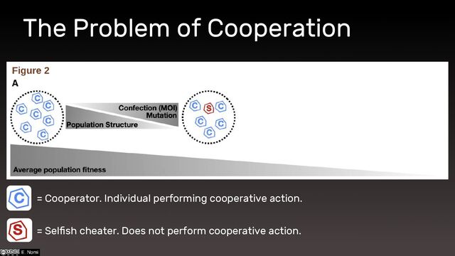 The Problem of Cooperation
= Cooperator. Individual performing cooperative action.
= Selfish cheater. Does not perform cooperative action.
