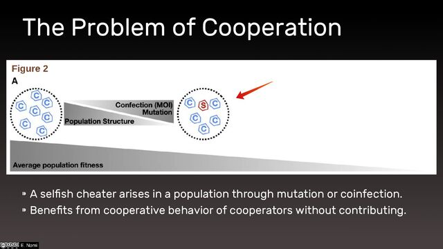 The Problem of Cooperation
⁍ A selfish cheater arises in a population through mutation or coinfection.
⁍ Benefits from cooperative behavior of cooperators without contributing.
